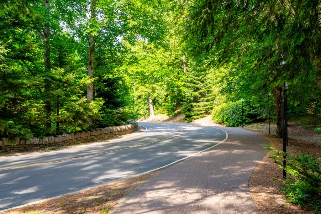 curving approach road as seen when visiting biltmore estate tips