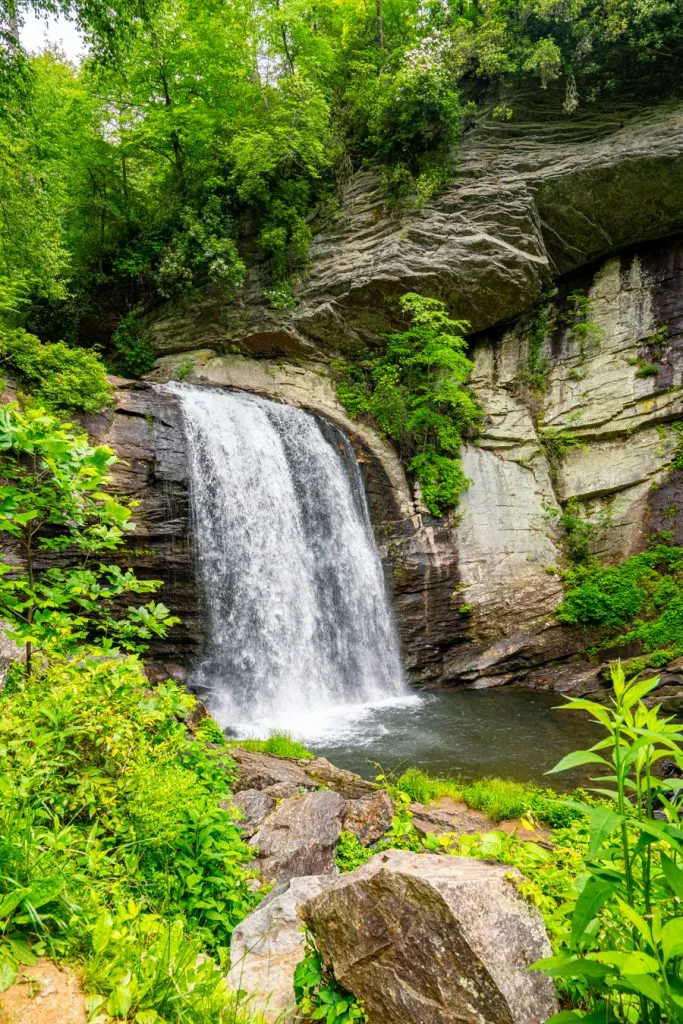 looking glass falls surrounded by foliage near brevard, one of the best western nc mountain towns to visit