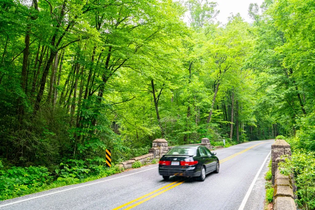 compact car driving through pisgah national forest