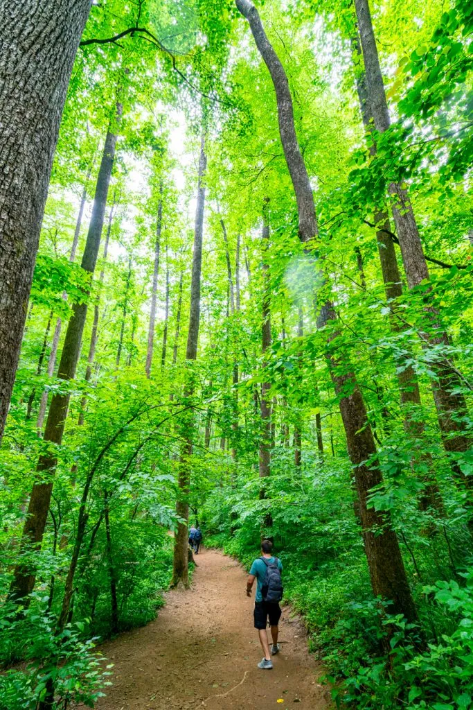 jeremy storm hiking in pisgah national forest