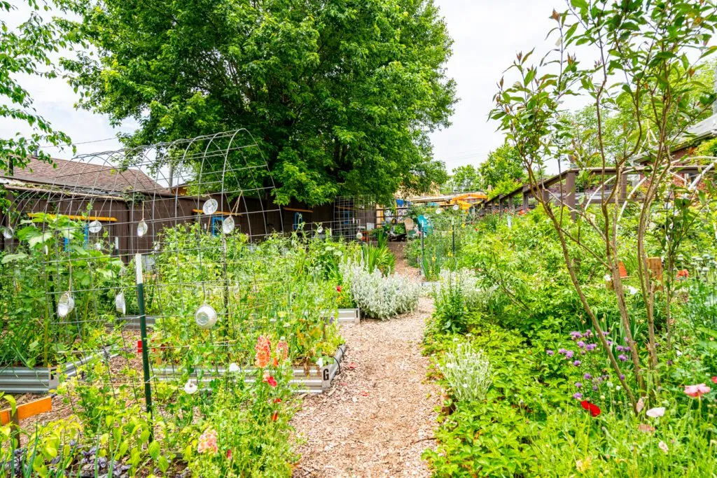 sunny point cafe garden in asheville north carolina