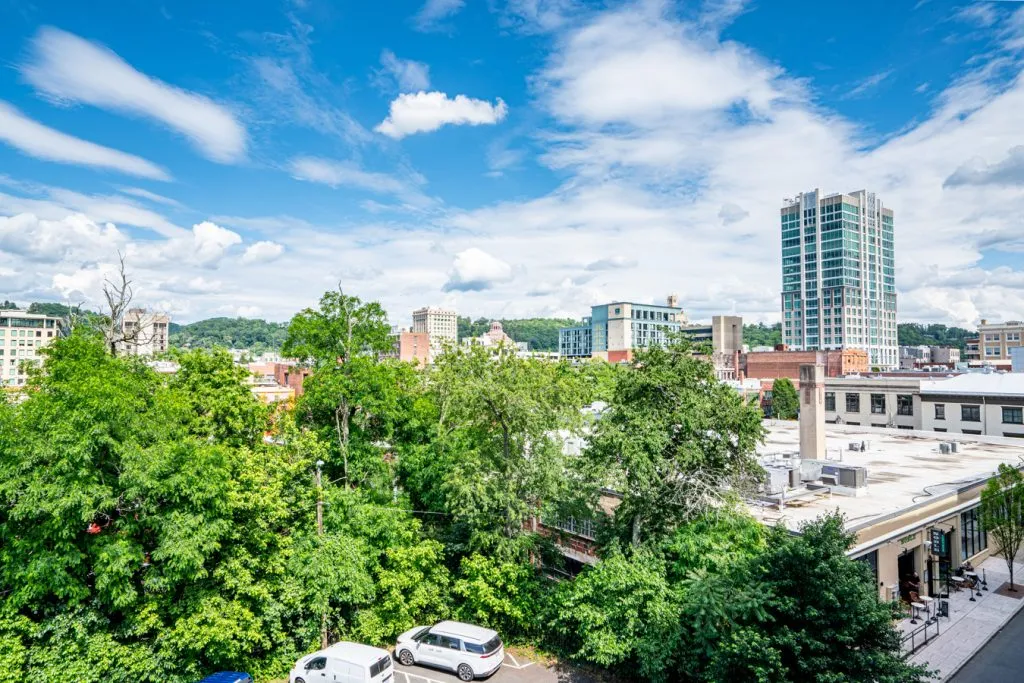 downtown asheville as seen from above