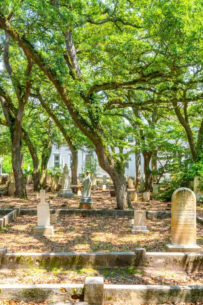 gravestones under trees in old bury ground beaufort north carolina
