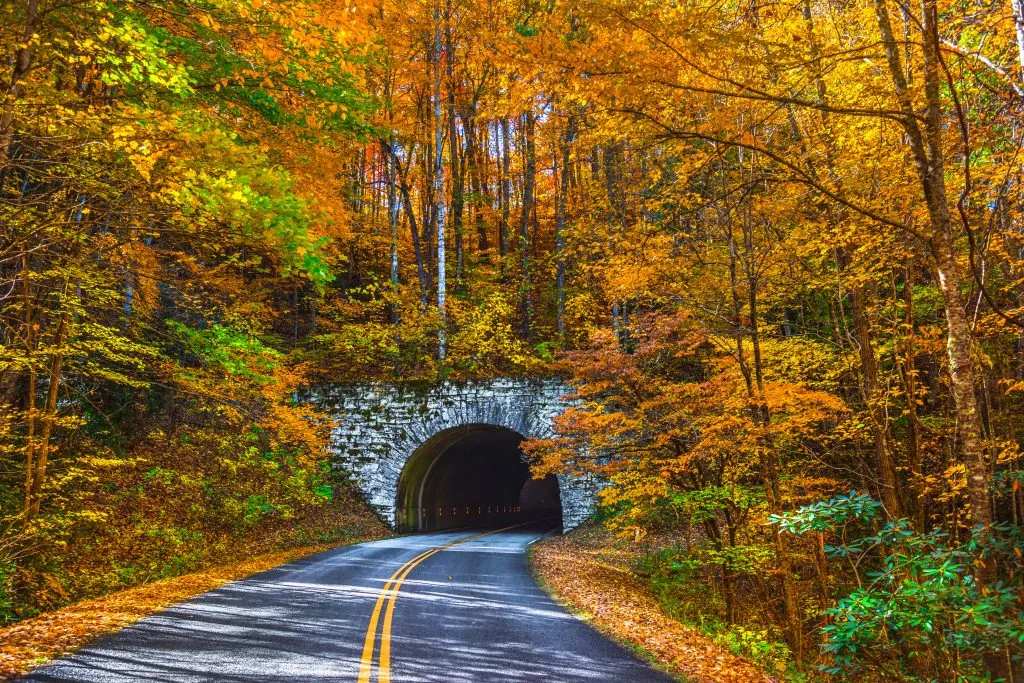 usa road trip reddit