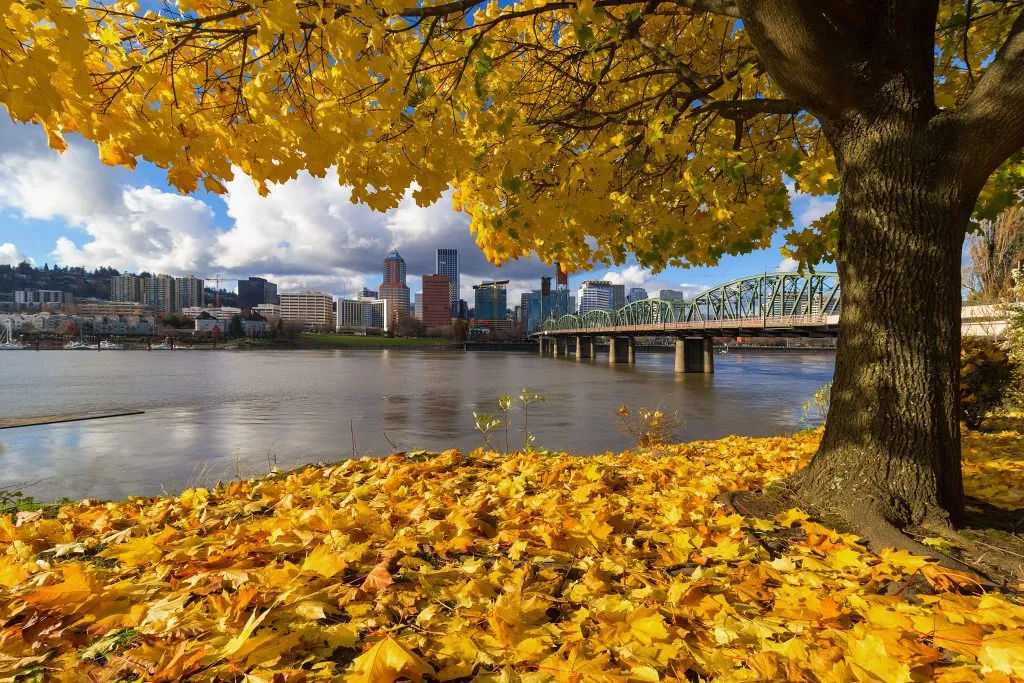 portland oregon skyline with fall foliage in the foreground, november usa vacation spots