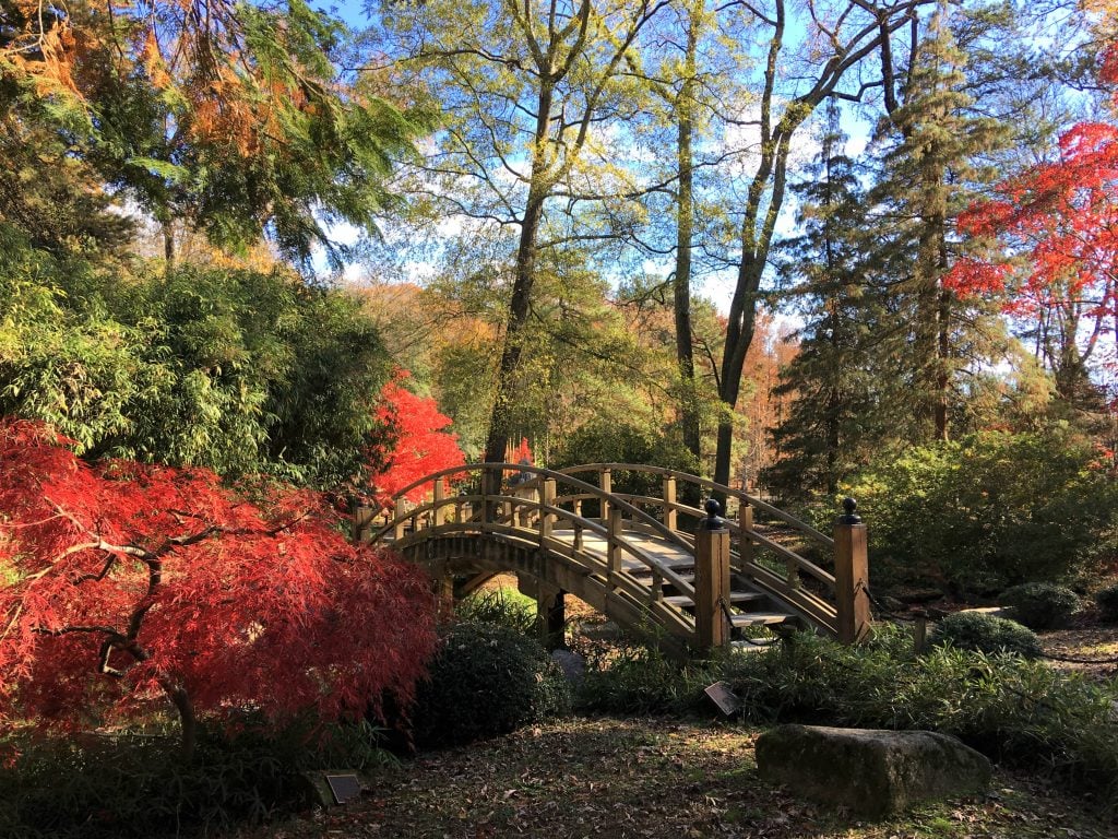 small bridge with fall foliage in richmond virginia