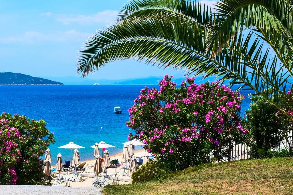 view of umbrellas on a beach in greece