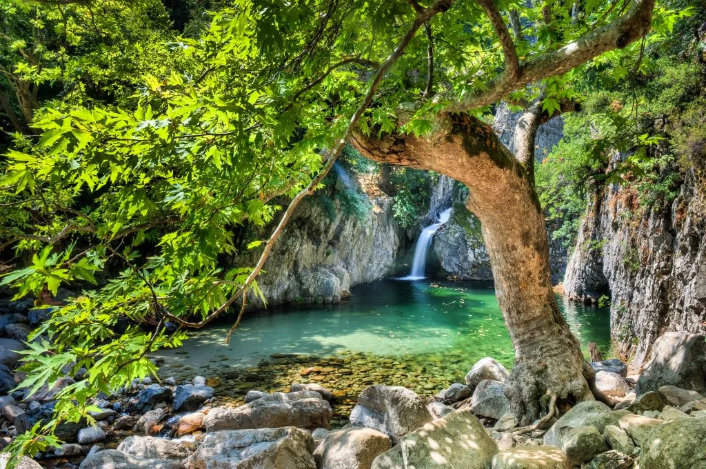 small waterfall in samothraki greece with a leafy tree in the foreground, a hidden gem when spending a week in greece