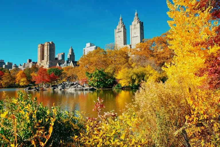 central park with fall foliage, one of the best places to visit in november in usa