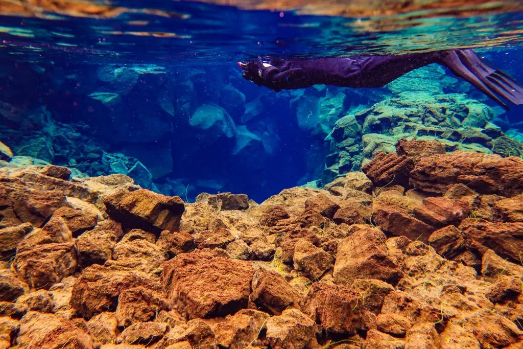 snorkeler in a shallow area snorkeling in iceland