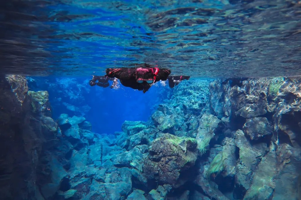 person underwater in thingvellir snorkeling iceland