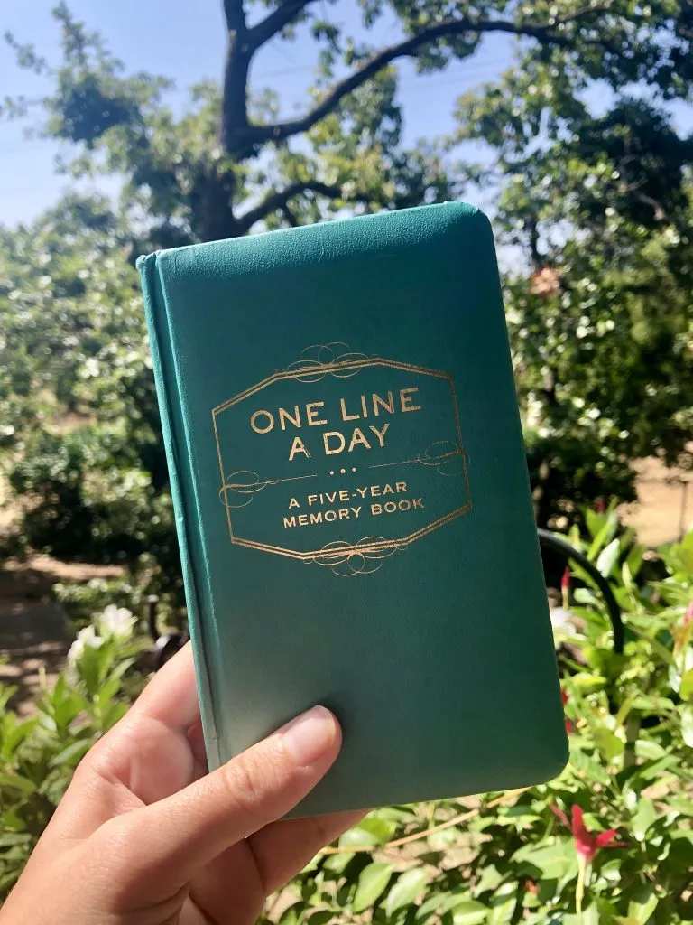 one line a day journal being held up in front of greenery, one of the best travel journal ideas