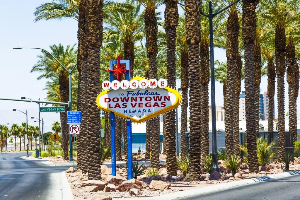 sign stating welcome to downtown las vegas surrounded by palm trees and located on the side of a road