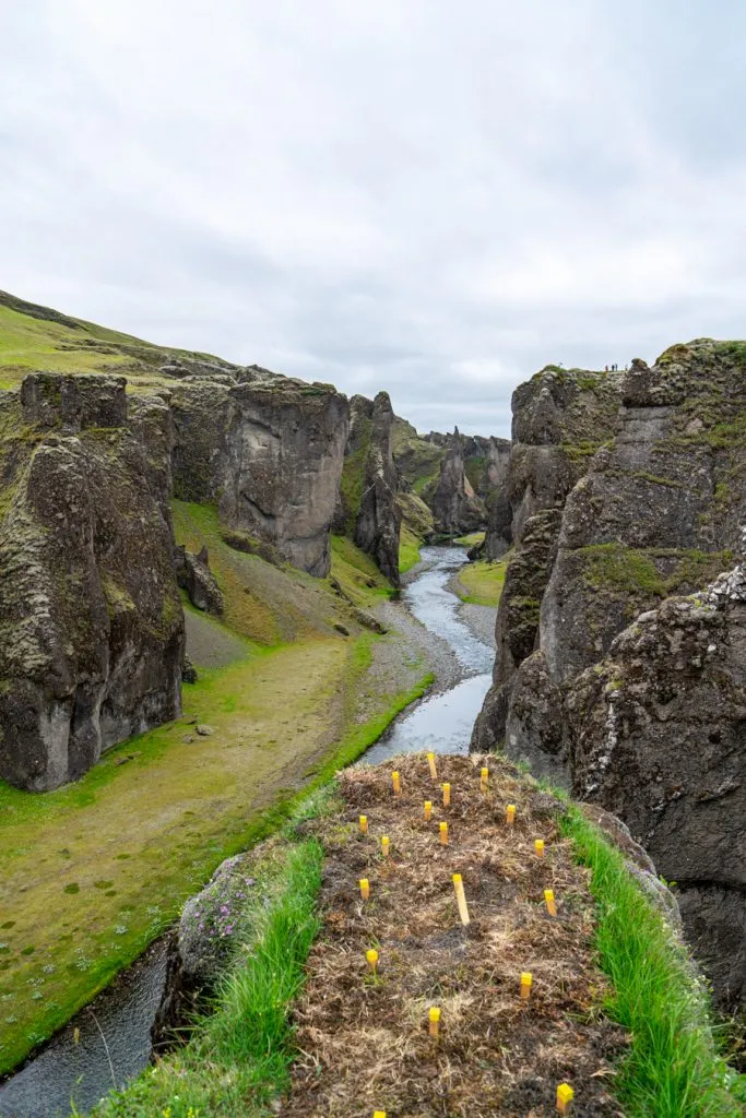 Fjadrargljufur Canyon from above, one of the best stops ring road iceland itinerary