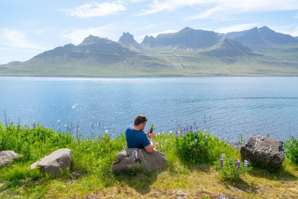 jeremy storm taking photos of lupines along ring road iceland itinerary