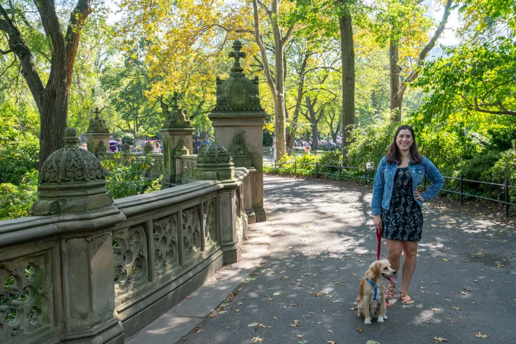 kate storm and ranger storm walking across a bridge in central park nyc
