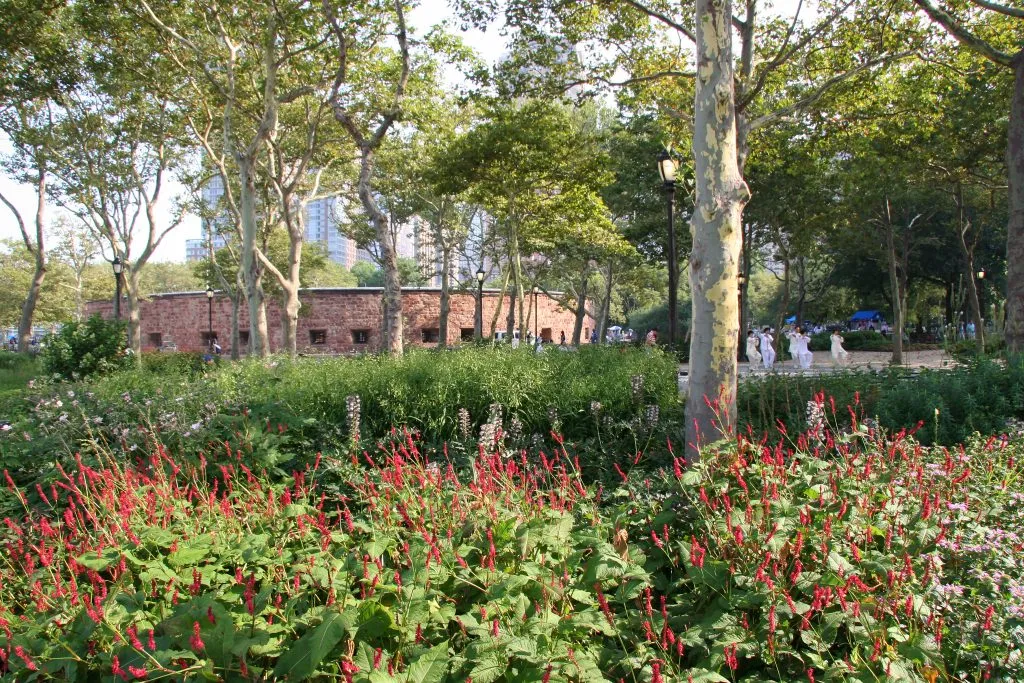 red flowers in the battery with castle clinton visible in the background, one of the best places to visit finanfical district new york city