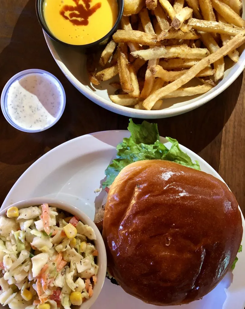 burger and fries shot from above at restaurants moab utah