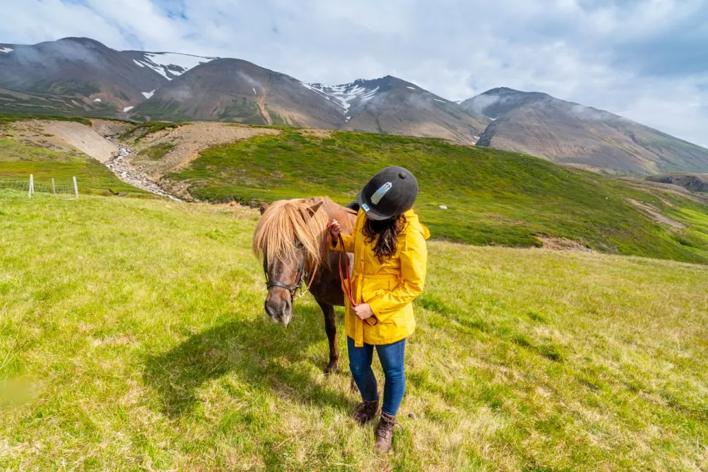 kate storm in a yellow jacket posing with an iceland horse, an iceland bucket list travel experience