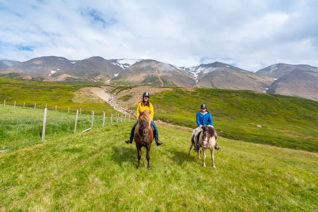 kate storm and jeremy storm riding icelandic horses