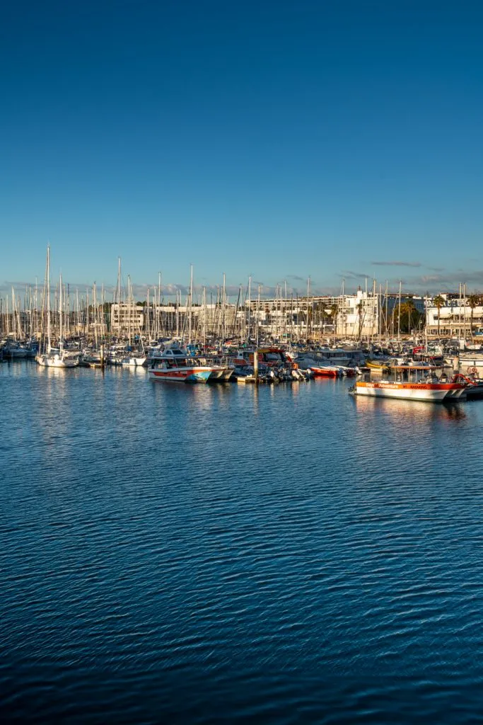 view of boats parked in the lagos marina, one of the best places to visit lagos portugal