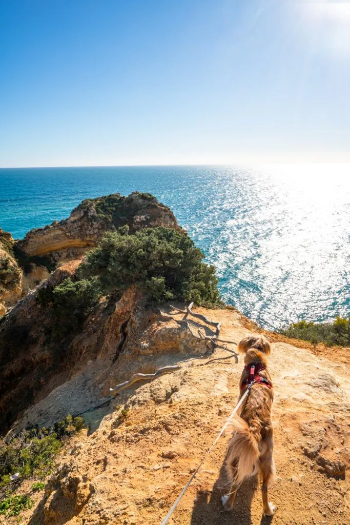 ranger storm overlooking the sparkling sea at the ponta da piedade in portugal