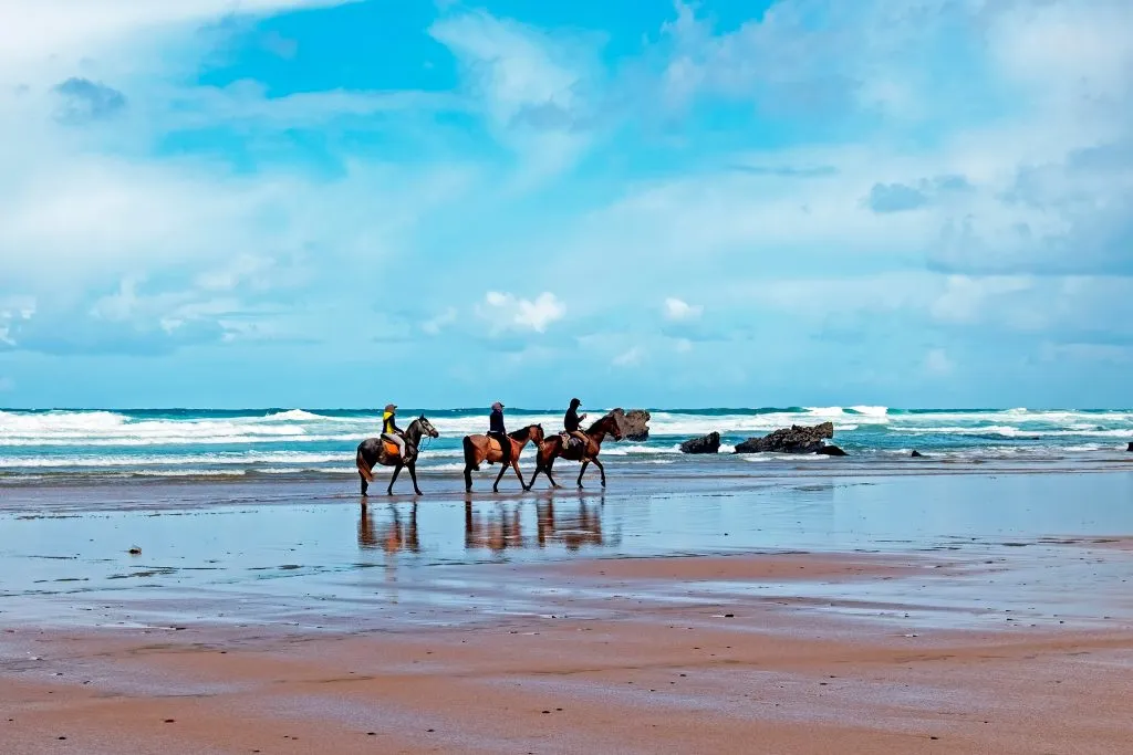 three horses being ridden across Carapateira beach, one of the best attractions near lagos portugal