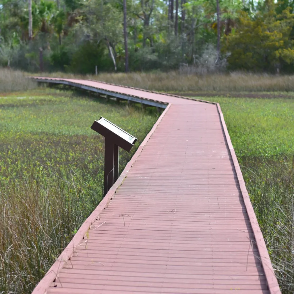 elevated wooden boardwalk in cedar key florida