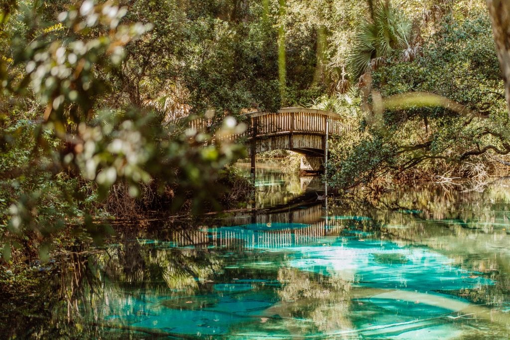 small bridge over bright blue juniper springs florida