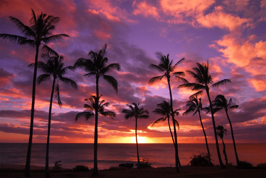 sunset behind palm trees on molokai, a usa off the beaten path destination