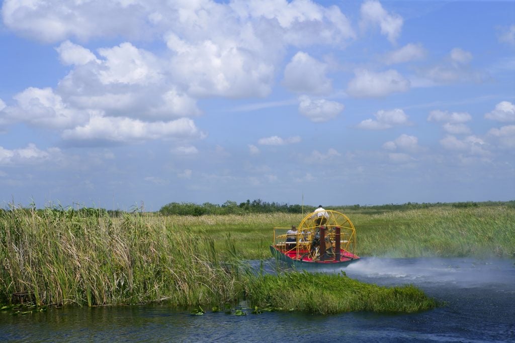 airboat driving through everglades swamp florida