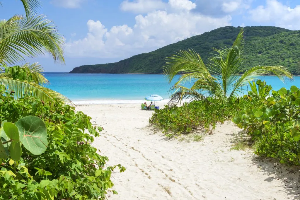 white sand path leading to caribbean beach culebra puerto rico