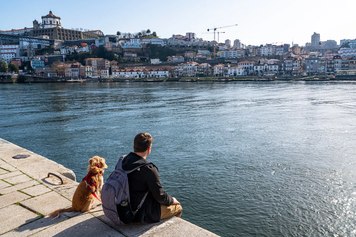 jeremy storm and ranger storm sitting along the douro river in ribiera porto portugal winter