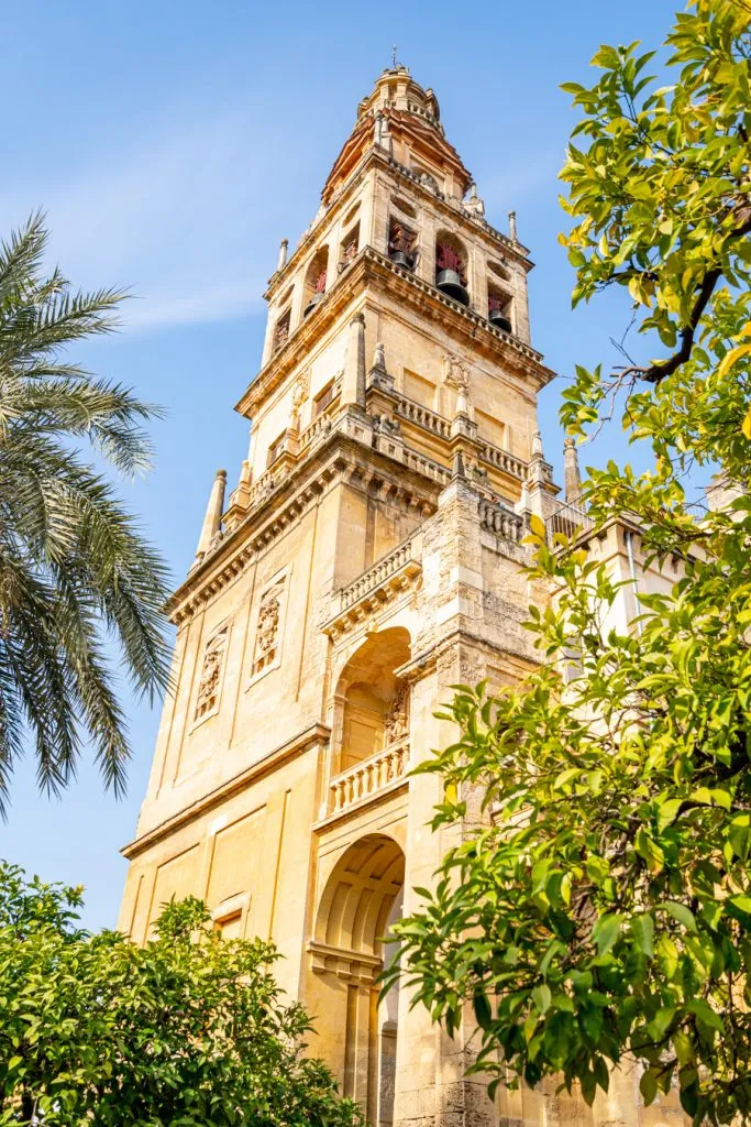 view of bell tower from the patio de los naranjos, the starting point to many top cordoba activities