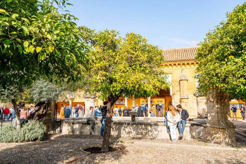 patio de los naranjos, what to do in cordoba spain