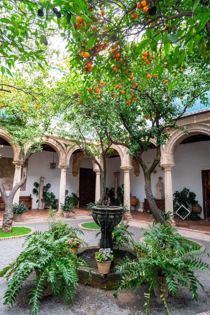 patio in the palacio de viana, one of the best attractions cordoba spain