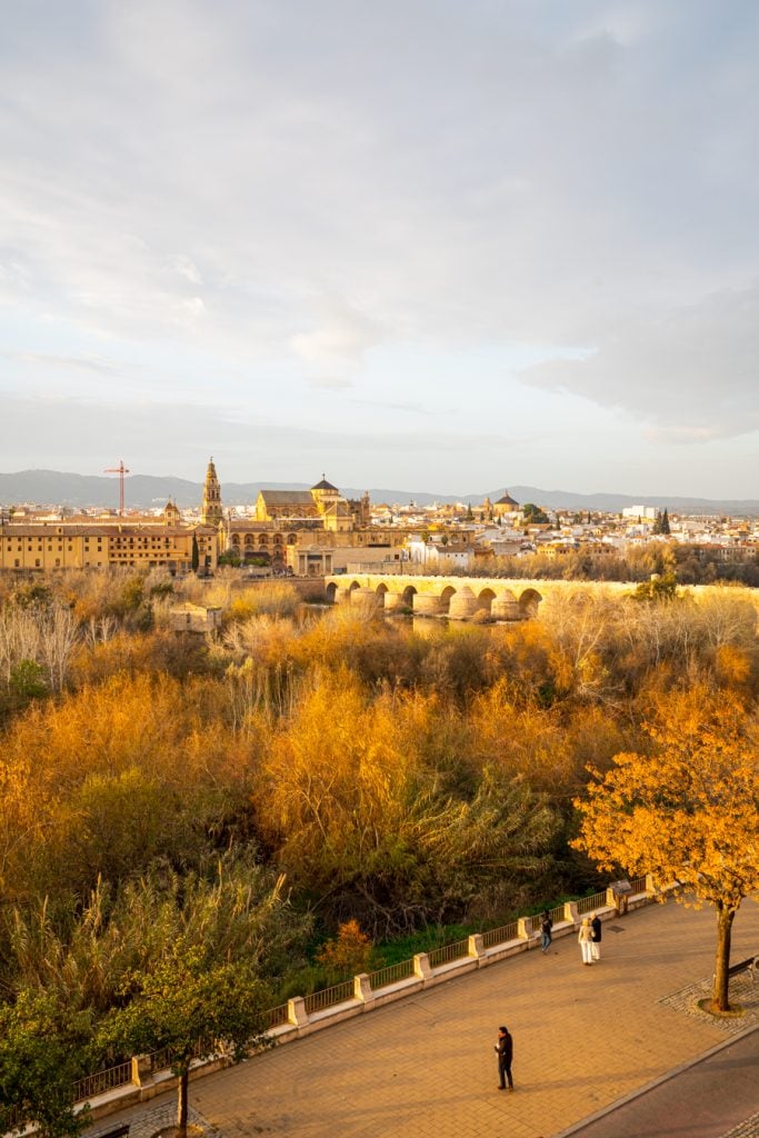 view of cordoba spain and roman bridge from hesperia coroba hotel