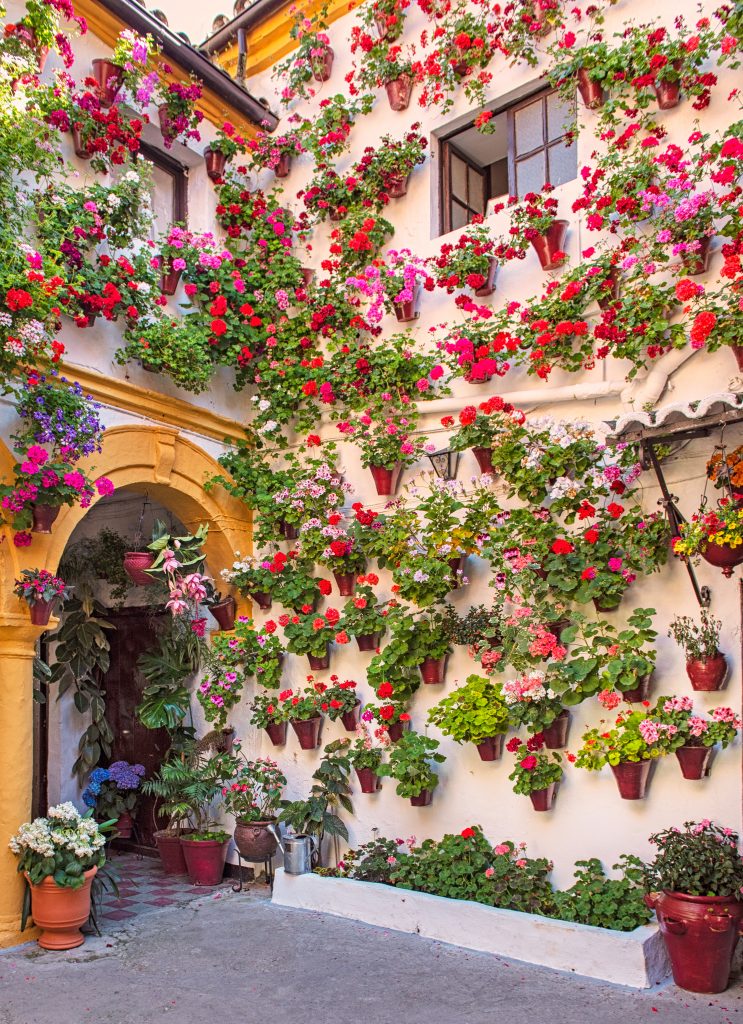 colorful patio full of flowers, one of the best places to visit in cordoba spain