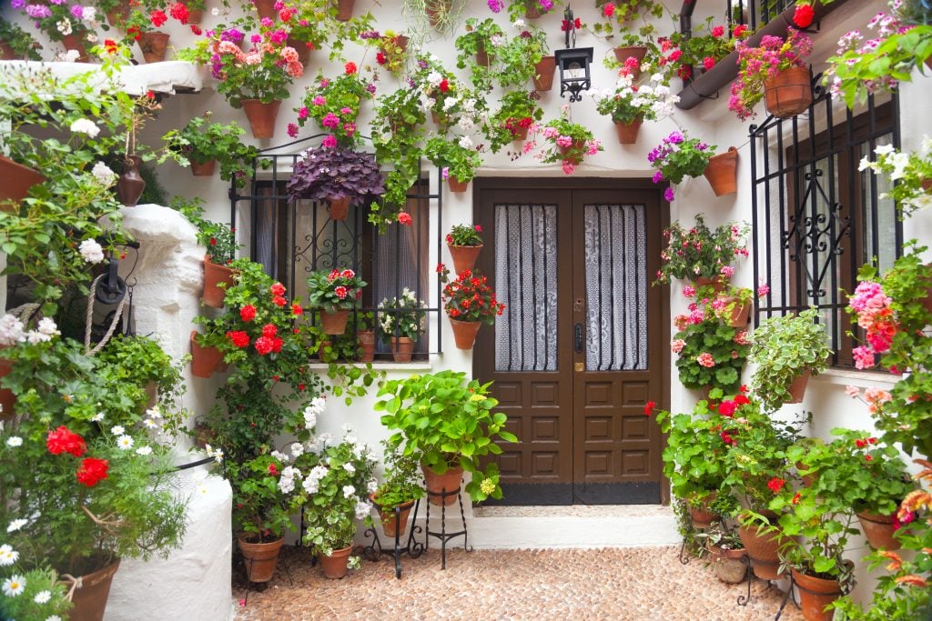 flower pots decorating a cordoba patio