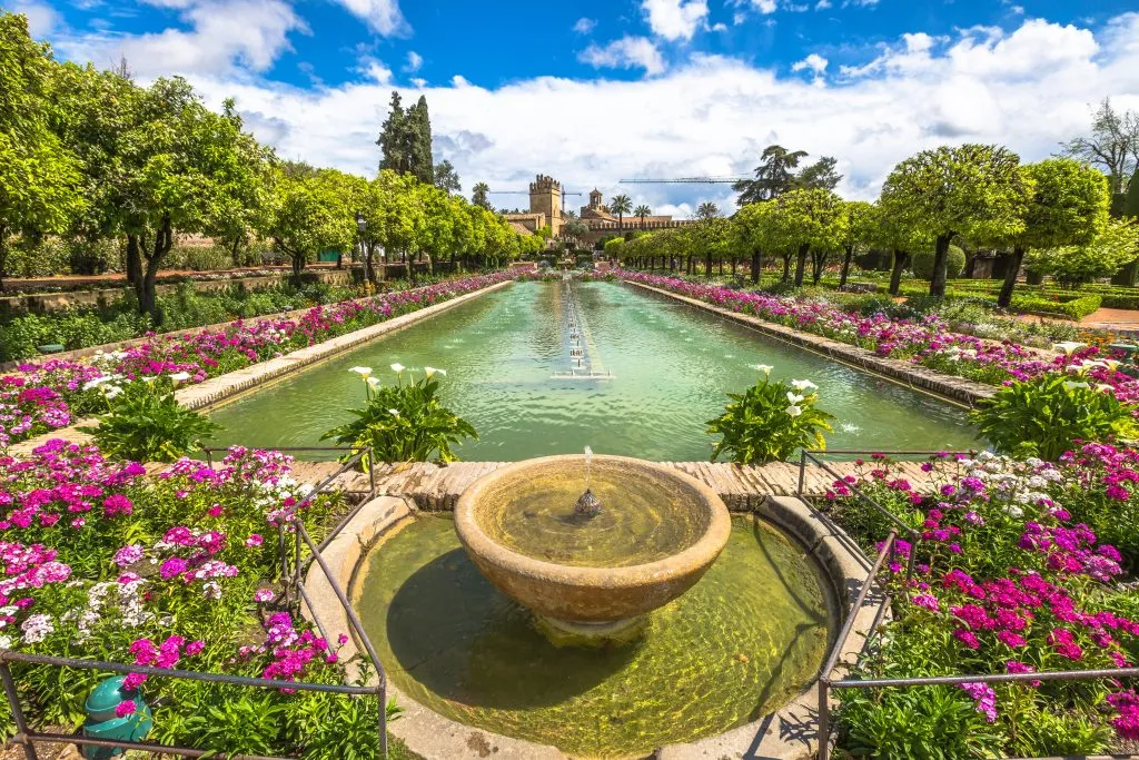 purple flowers in the gardens in the alcazar of christian monarchs, one of the best things to do cordoba spain