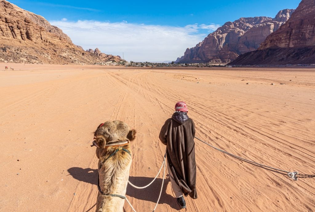 guide walking with a camel as seen when camping wadi rum jordan