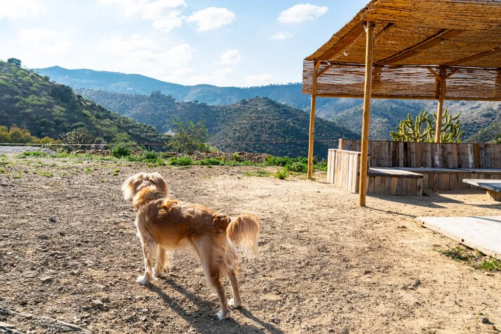 ranger stor on a finca overlooking mountains in southern spain road trip