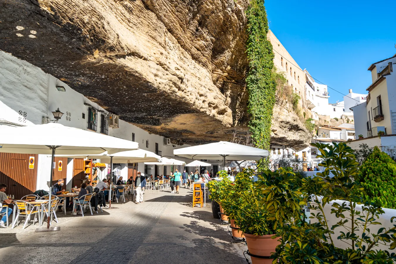 view of whitewashed buildings under a rocky overhang in setenil de las bodegas, one of the best day trips from seville spain