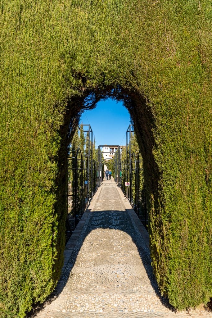 tunnel of trimmed hedges leading into a garden generalife