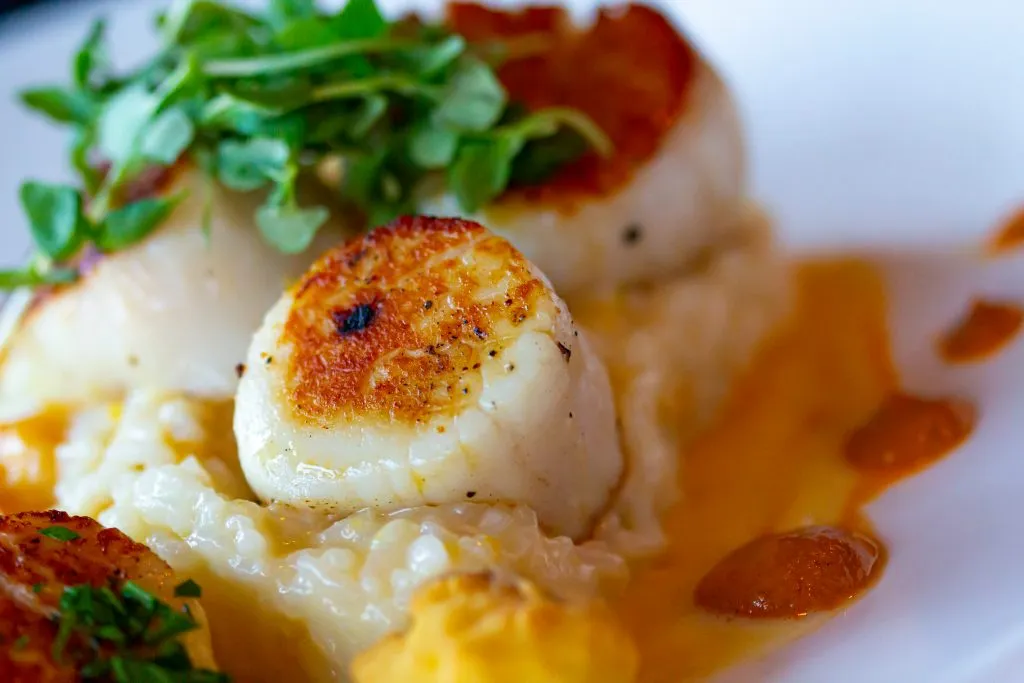 upscale seafood dinner plate featuring scallops