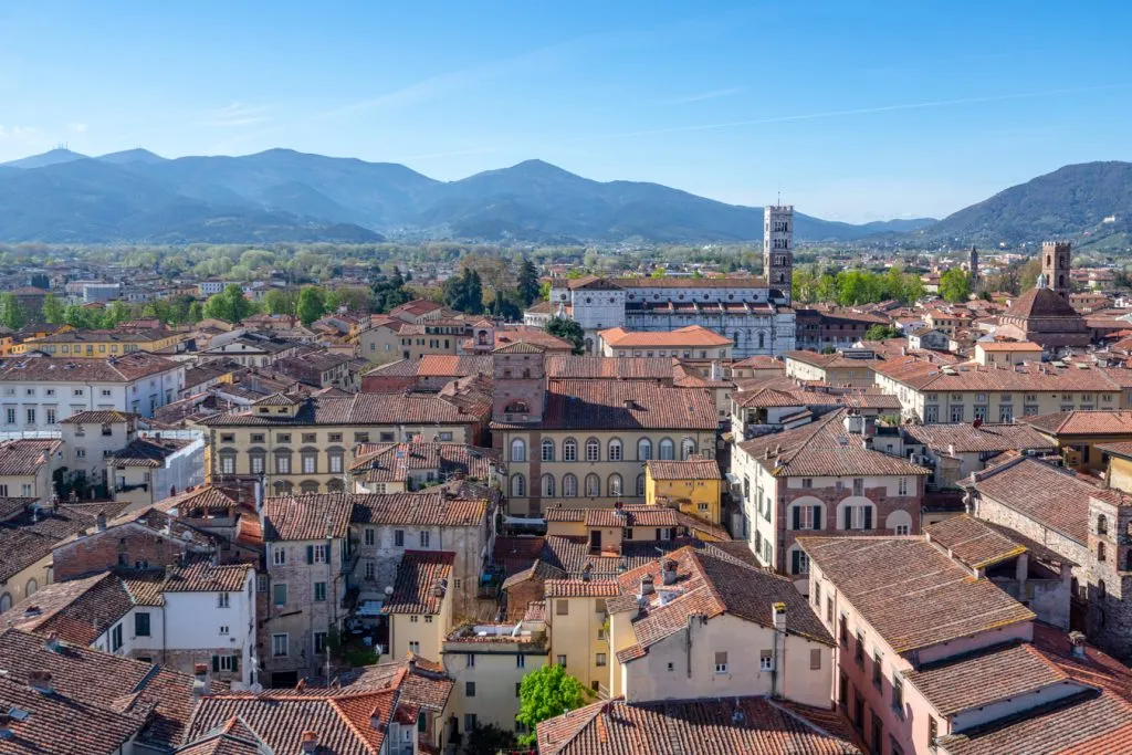 lucca tuscany skyline as seen from torre guinigi
