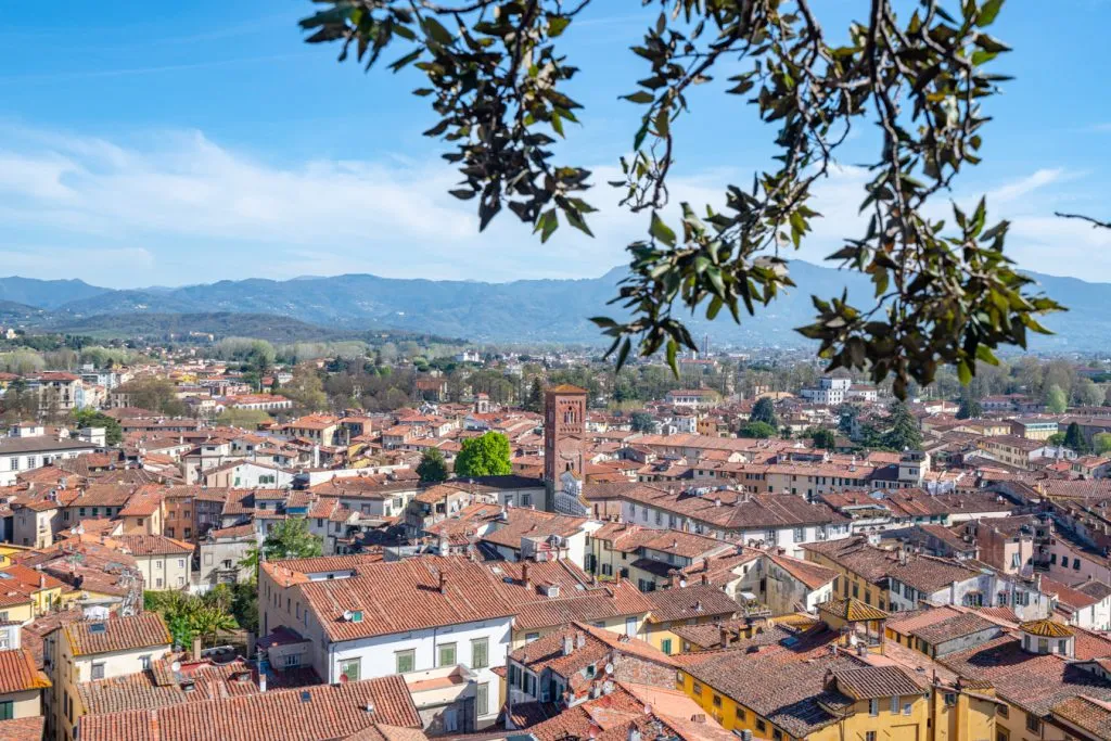 view of lucca italy from above, tips italy 101 include climbing to as many viewpoints as you can