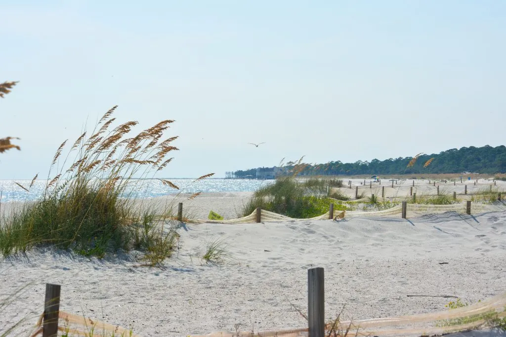 beach at dauphin island alabama southern beach road trip