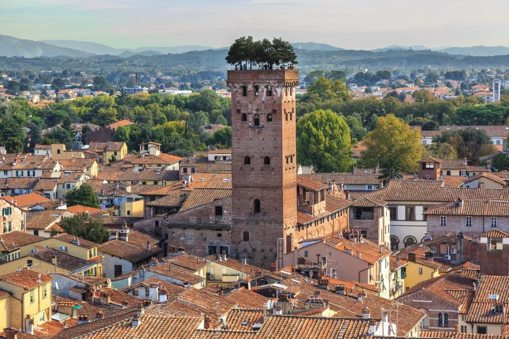 view of torre guinigi from afar with lucca cityscape below