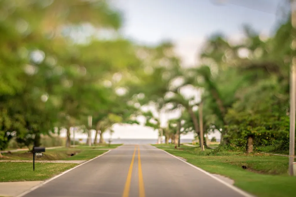 road lined with trees in mississippi on a deep south road trip itinerary